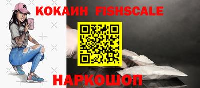 индика Можга