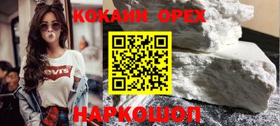 индика Можга