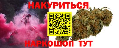 индика Можга