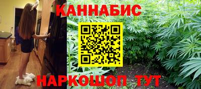 индика Можга