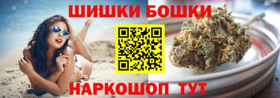 индика Можга