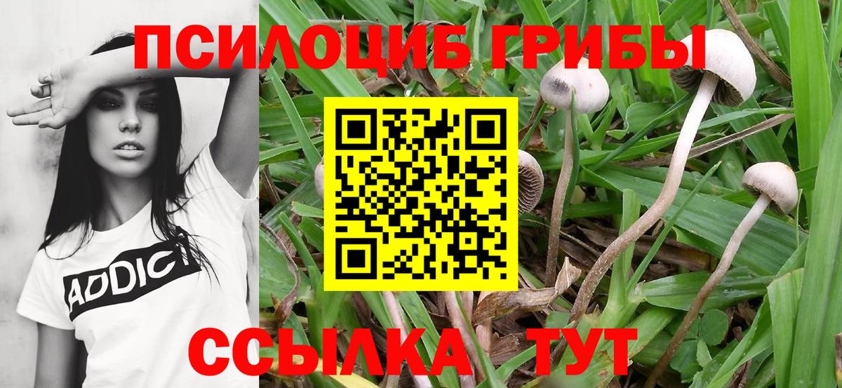 Галлюциногенные грибы MAGIC MUSHROOMS Воскресенск