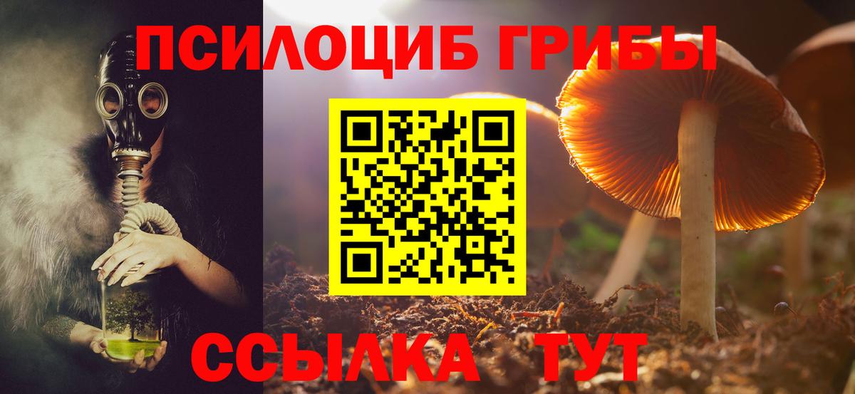Галлюциногенные грибы Magic Shrooms  Галлюциногенные грибы MAGIC MUSHROOMS  Воскресенск 